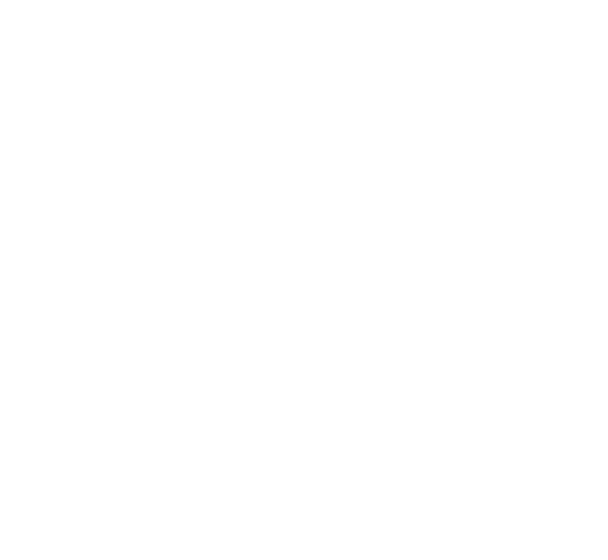 PartnerSynch logo
